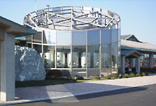地ビールも楽しめます