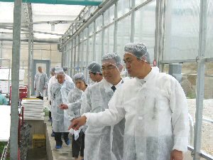 水耕栽培