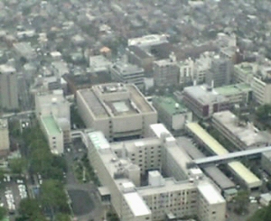 県庁航空写真