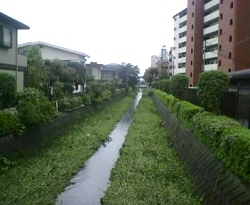 7日の鴻沼川