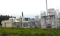 小岩井